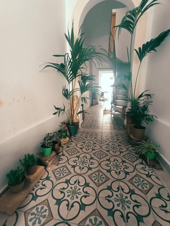 Dhara House Malta Bed & Breakfast Paola Eksteriør bilde